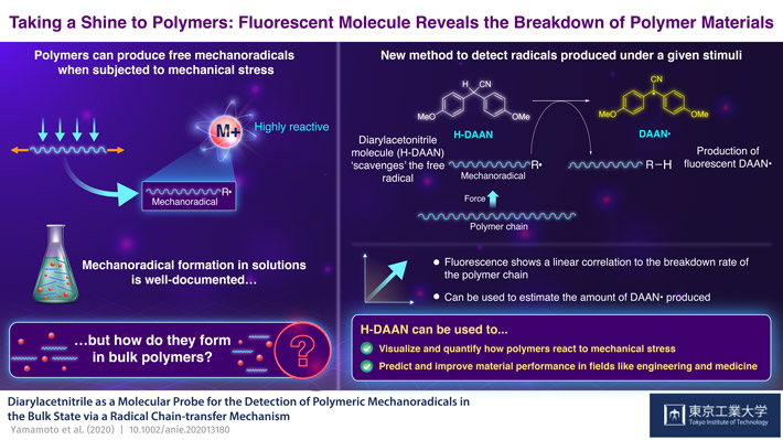 Una molecola mostra la scomposizione dei materiali polimerici